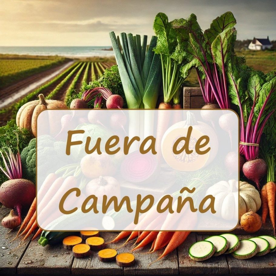 Fuera de Campaña